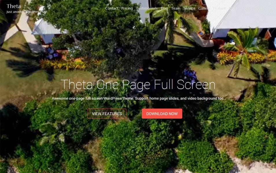 300+ Best Responsive WordPress Themes 138 Theta