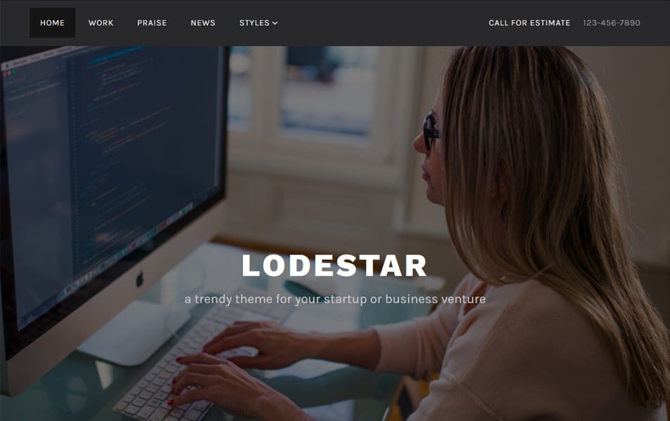 300+ Best Responsive WordPress Themes 135 Lodestar