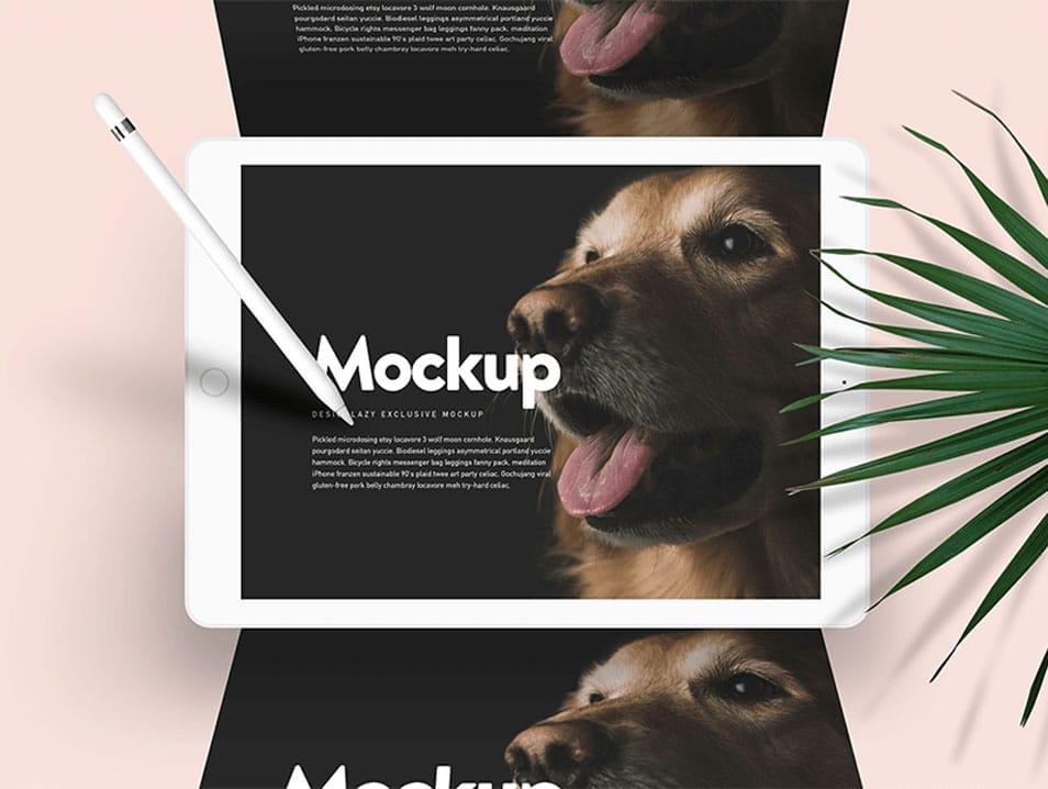 Doglr - iPad Mockup Scene PSD 2 Doglr — iPad Mockup Scene PSD
