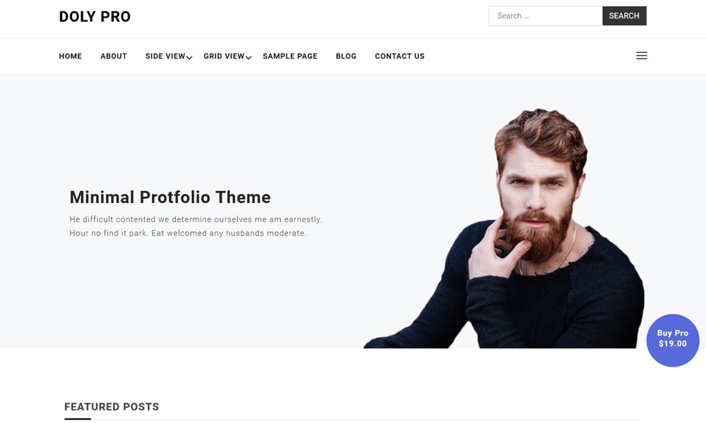 50+ Popular Free Personal Blog WordPress Themes 2024 48 Doly Blog