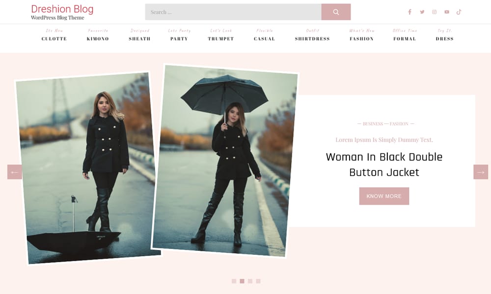 50+ Popular Free Personal Blog WordPress Themes 2024 49 Dreshion Blog