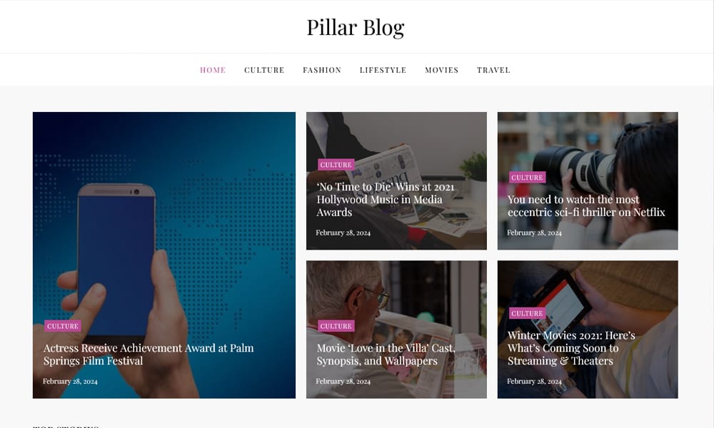 50+ Popular Free Personal Blog WordPress Themes 2024 44 Pillar Blog