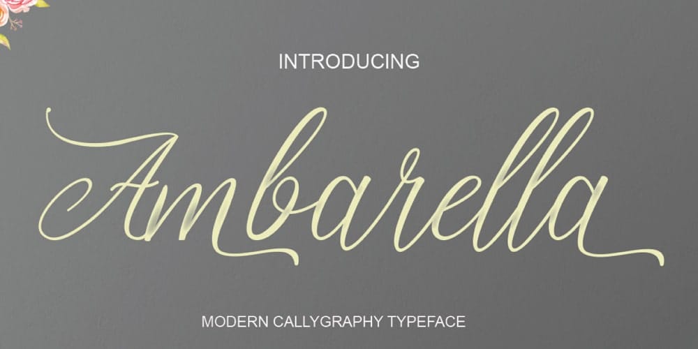 Free Calligraphy Fonts 40 Ambarella Typeface