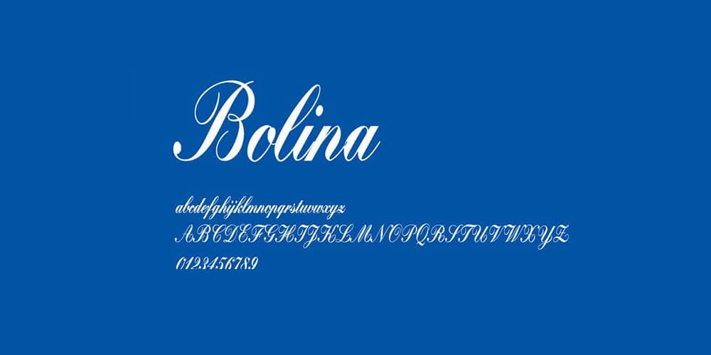 Free Calligraphy Fonts 61 Bolina Font