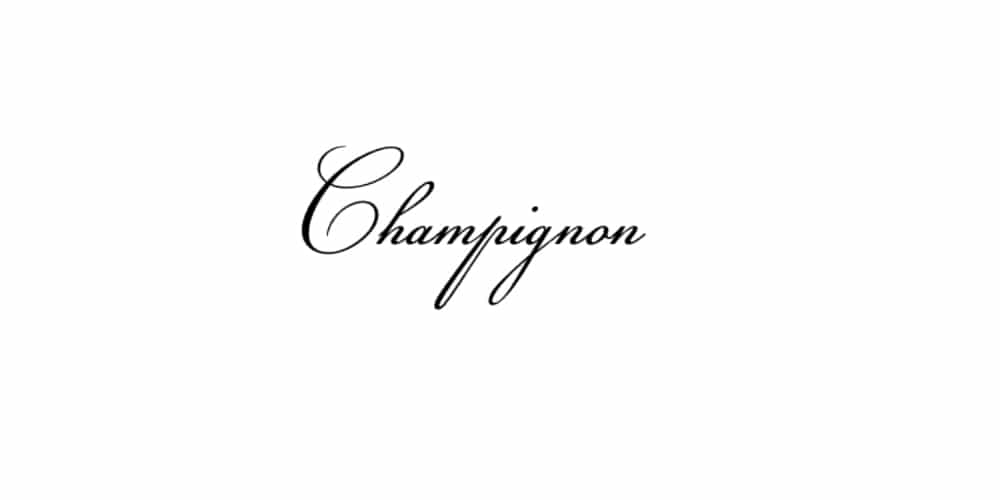 Free Calligraphy Fonts 53 Champignon