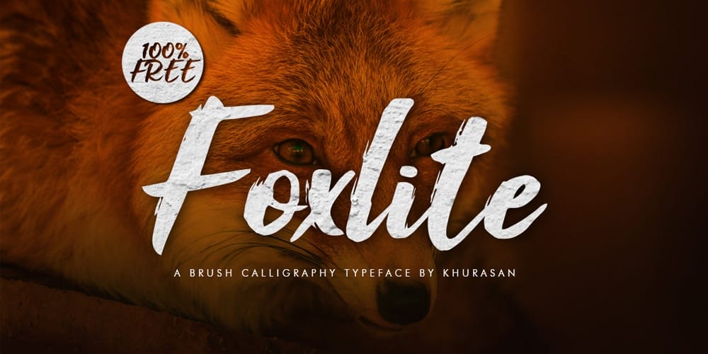 Free Calligraphy Fonts 50 Foxlite Script