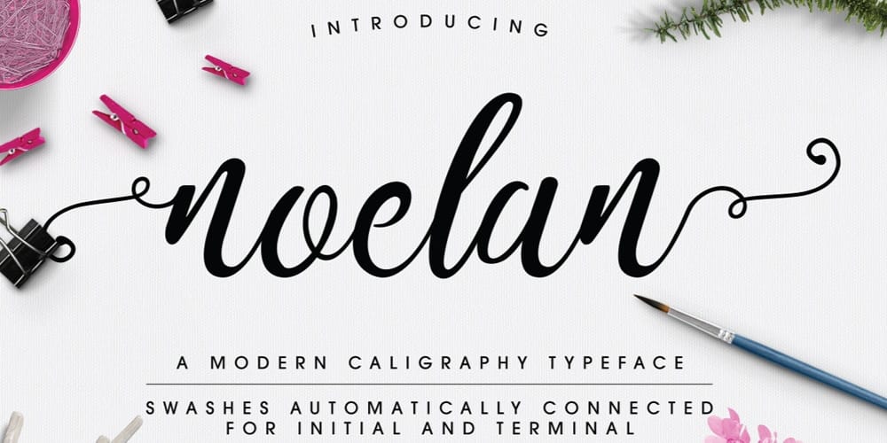 Free Calligraphy Fonts 41 Noelan Script