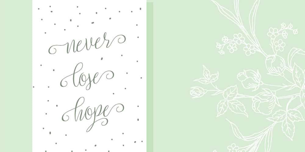 Free Calligraphy Fonts 69 Setta Script