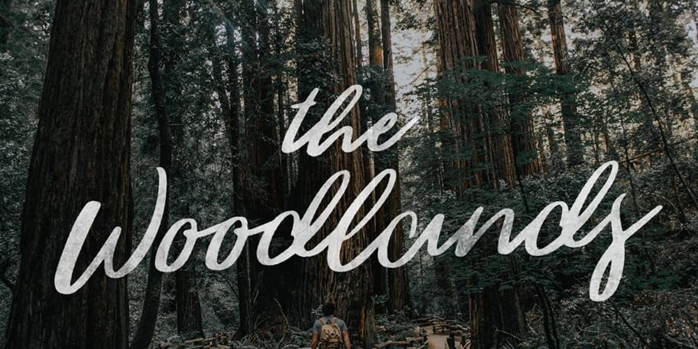 Free Calligraphy Fonts 38 The Woodlands - Free Brush Script Font