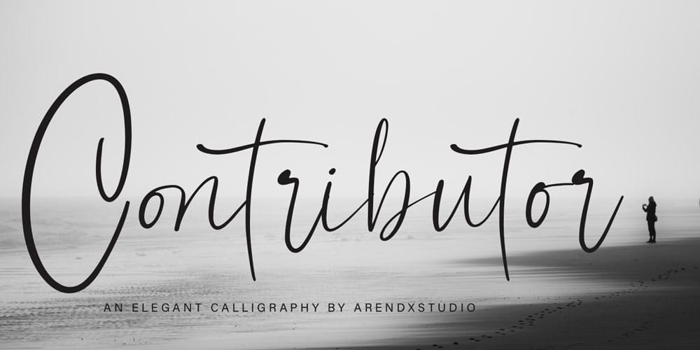 Free Calligraphy Fonts 49 Contributor Font