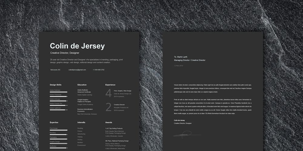 Free Resume Templates Vector