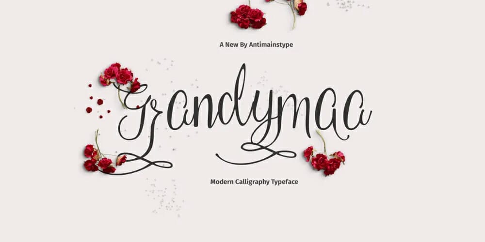 Free Calligraphy Fonts 112 Grandymaa Typeface