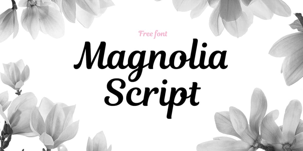 Free Calligraphy Fonts 127 Magnolia Script