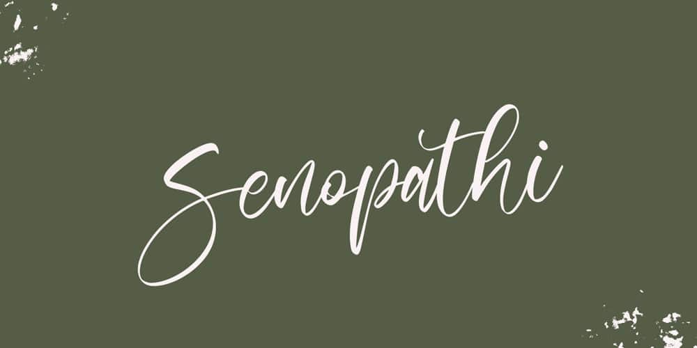 Free Calligraphy Fonts 16 Senopathi Font
