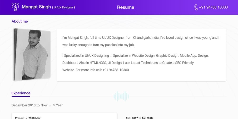 Visual Resume Design Template
