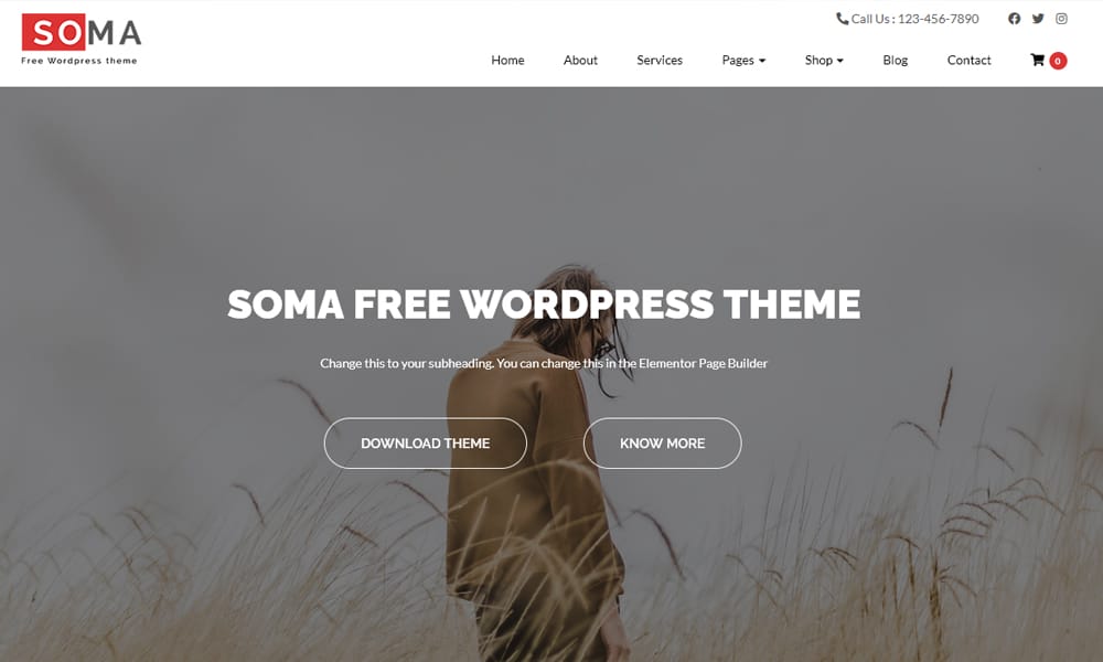 25+ Best Free Landing Page WordPress Themes 2025 41 Soma