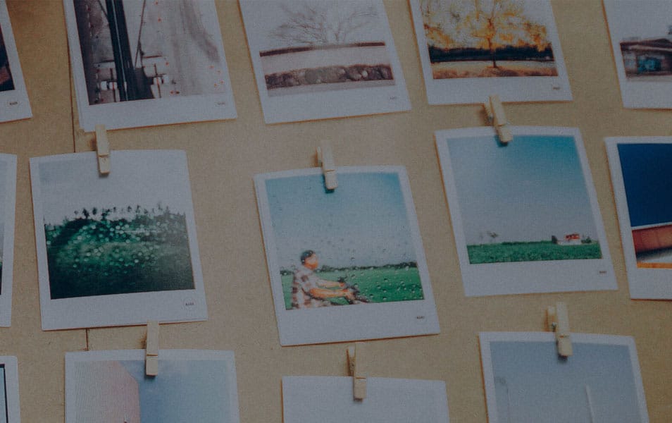 10 Best Mood Board Creators For Designers 1 Adobe Spark - Mood Board Creator