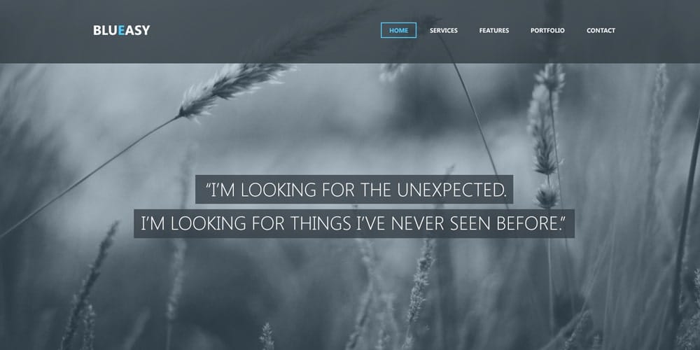 Free Portfolio Website Templates (PSD , HTML) 47 Free Portfolio Website Templates