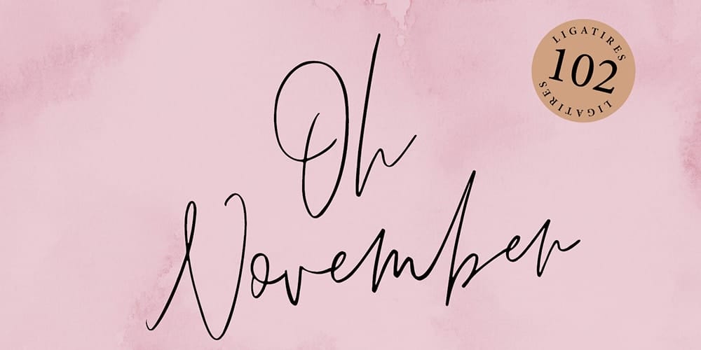 Oh November Trendy Script Font