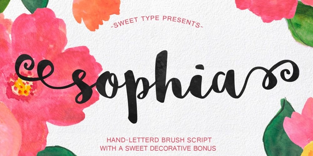 Free Calligraphy Fonts 101 Sophia Brush Script Font