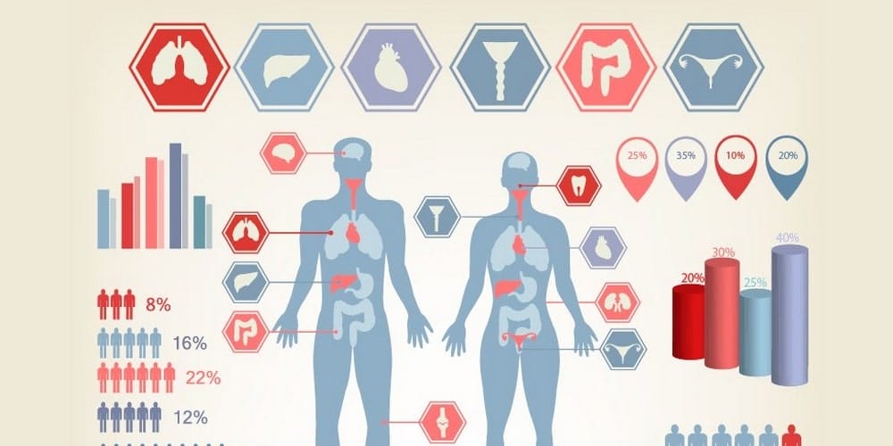 Infographic Template