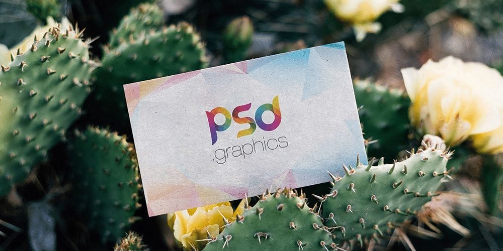 100+ Free Business Card Mockups PSD 411 Outdoor Business Card Mockup Template