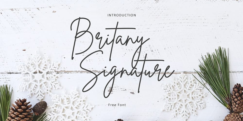 Amazing Free Signature Fonts 19 Brittany Signature Script
