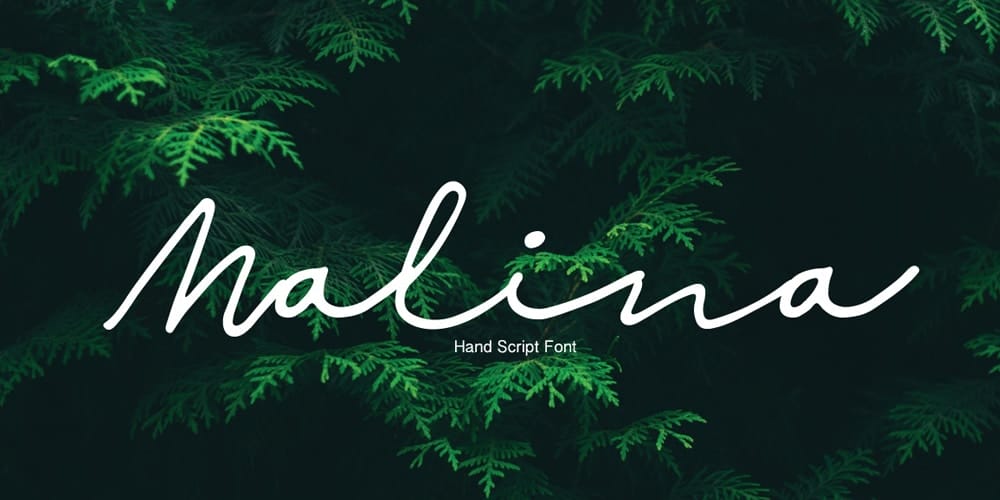 Amazing Free Signature Fonts 21 Malina Script