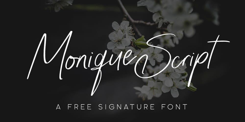 Amazing Free Signature Fonts 22 Monique Script