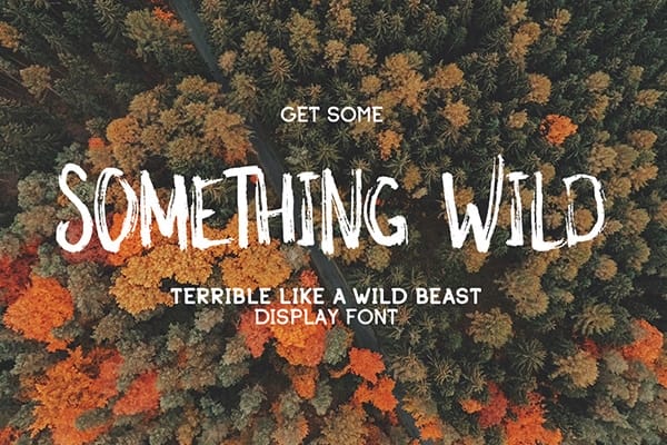 Something Wild Font