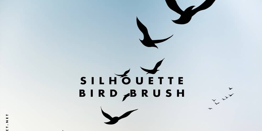 Collection of Best Photoshop Brushes 275 Bird Silhouette Brushes