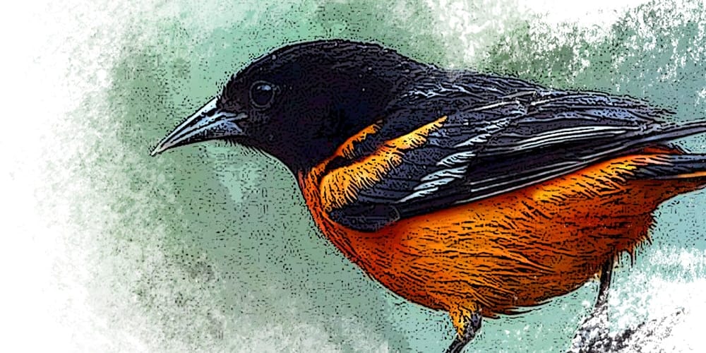 Collection of Best Photoshop Brushes 286 Crayon Stroke Brush