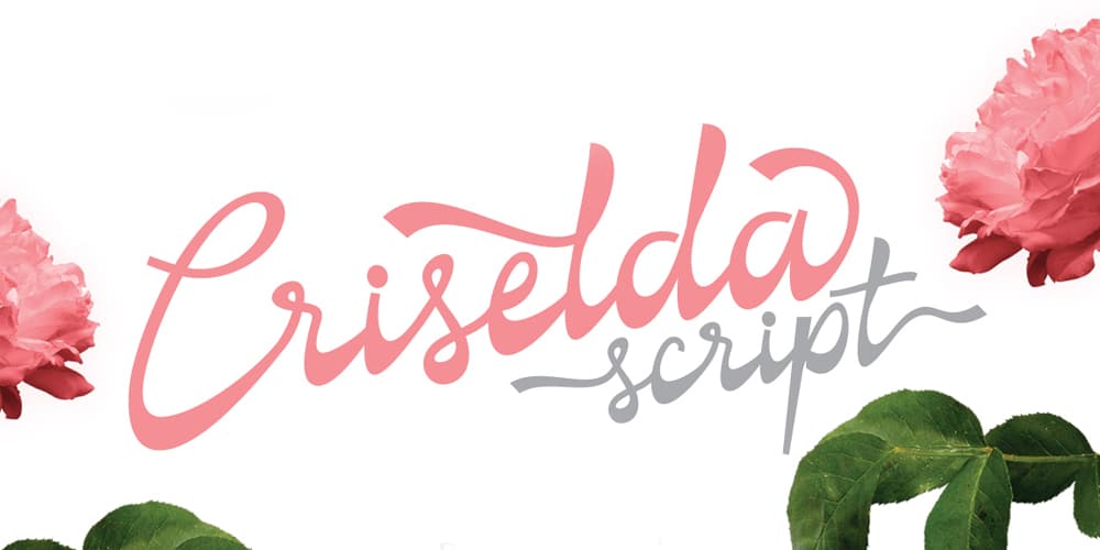 250 + Free Modern Script Fonts for Designers 420 Criselda Script Typeface