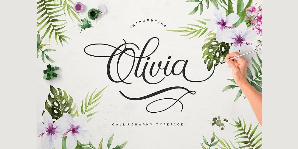 Free Calligraphy Fonts 109 Olivia Script