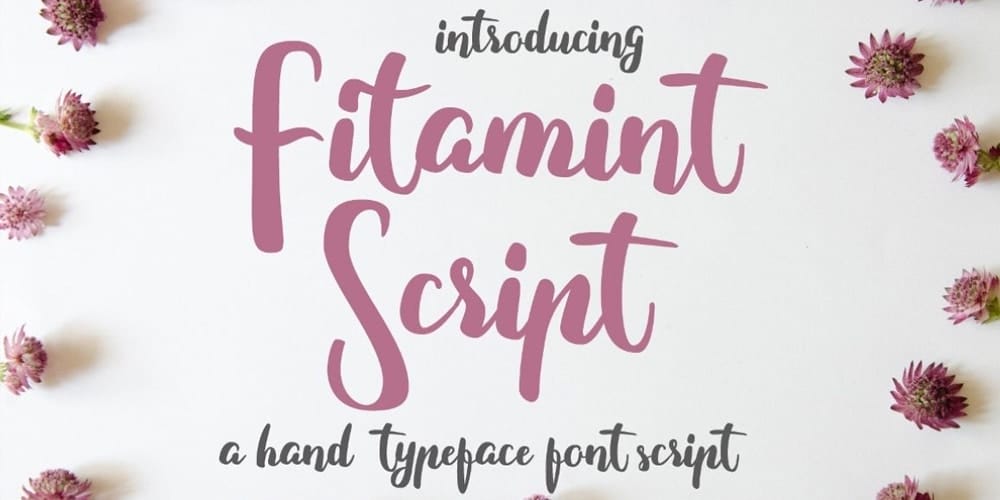250 + Free Modern Script Fonts for Designers 132 Fitamint Typeface
