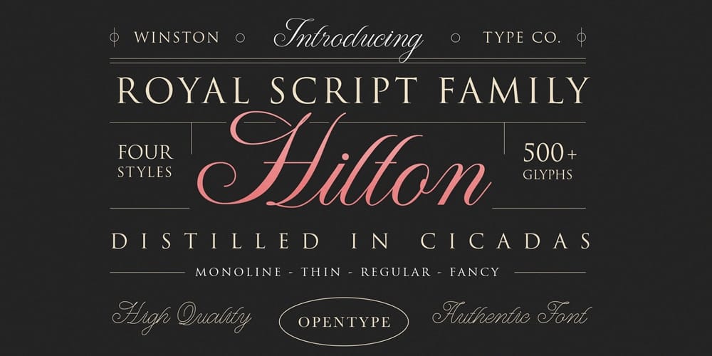 250 + Free Modern Script Fonts for Designers 131 WT Hilton Script