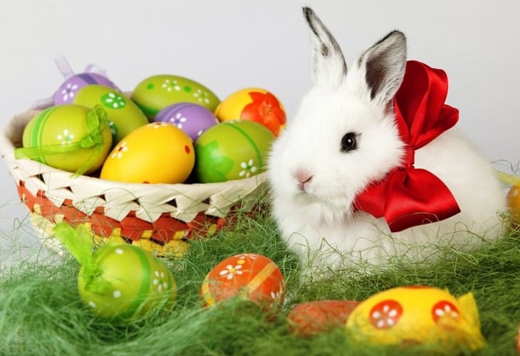 50 Beautiful Easter Wallpapers 72 Easter Bunny