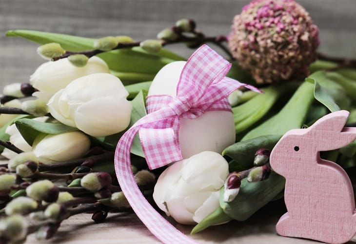 50 Beautiful Easter Wallpapers 24 Willow Catkin