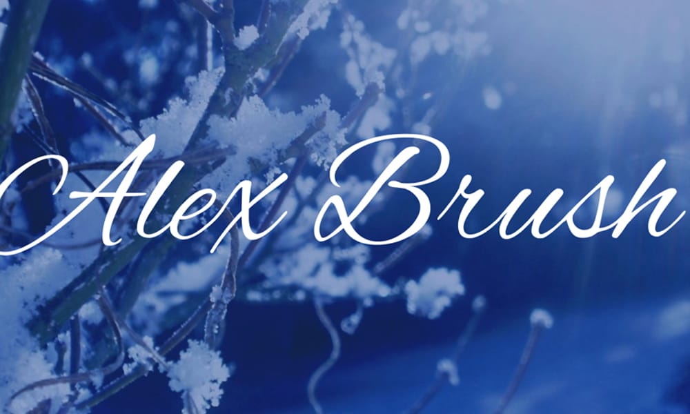 Amazing Free Signature Fonts 100 Alex Brush