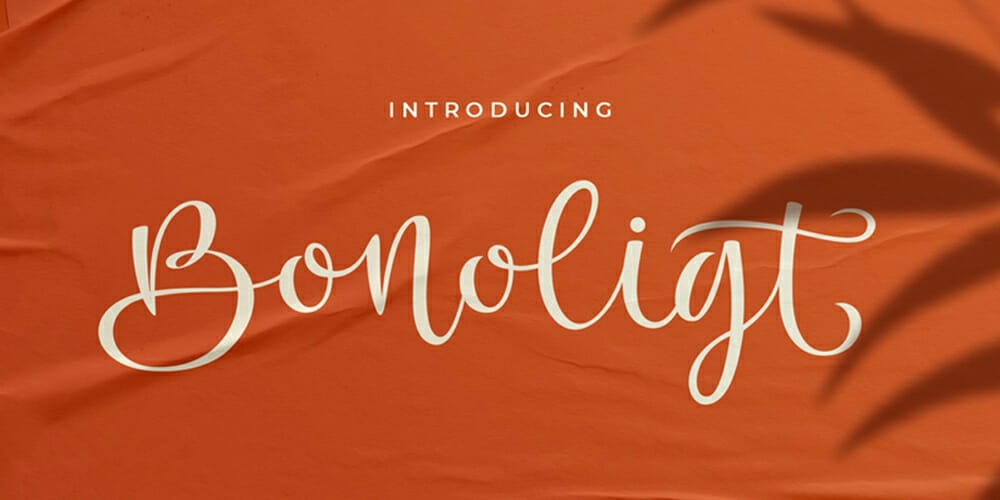 Amazing Free Signature Fonts 92 Bonoligt