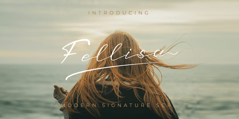 Amazing Free Signature Fonts 98 Fellisa