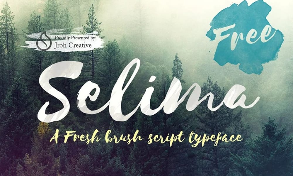 Amazing Free Signature Fonts 60 Selima Script