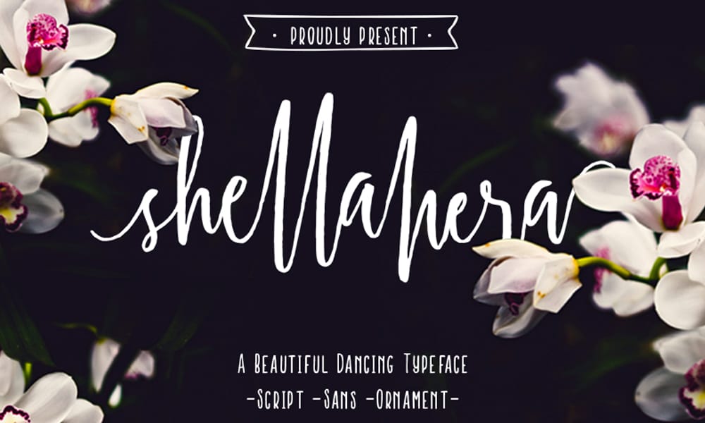 Amazing Free Signature Fonts 46 Shellahera Script