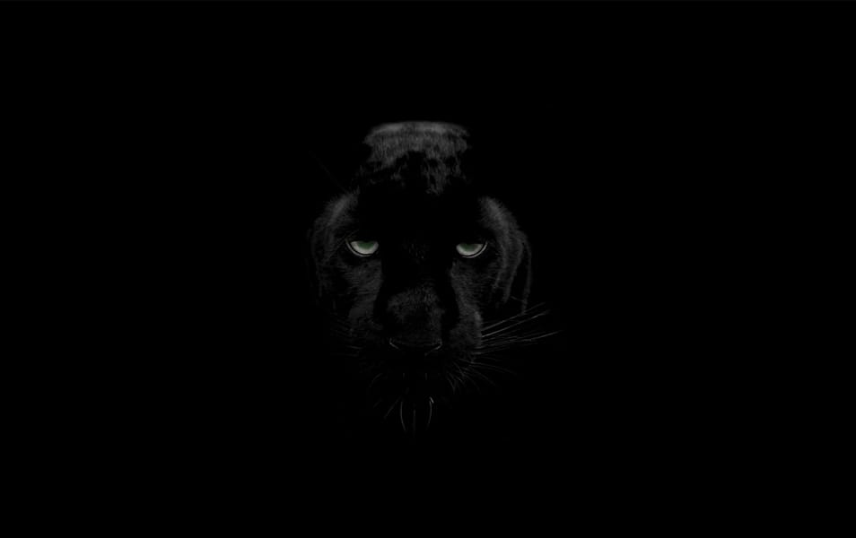 50+ Collection of Excellent Dark Wallpapers 14 Black Panther