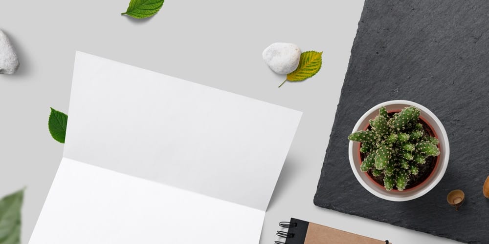 Best Free Scene Creators for Designers 46 Free Nature Branding Mockup Scene