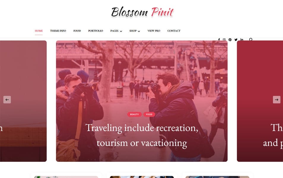 10+ Best Free Pinterest Style WordPress Themes 2022 16 Blossom PinI