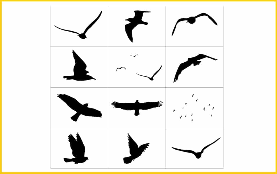 Birds Photoshop Custom Shapes