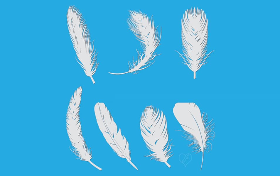 Feather Custom Shapes