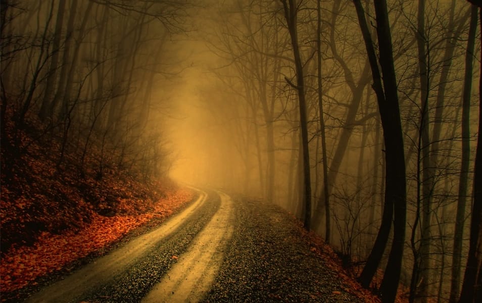 50+ Collection of Excellent Dark Wallpapers 46 Foggy Wood