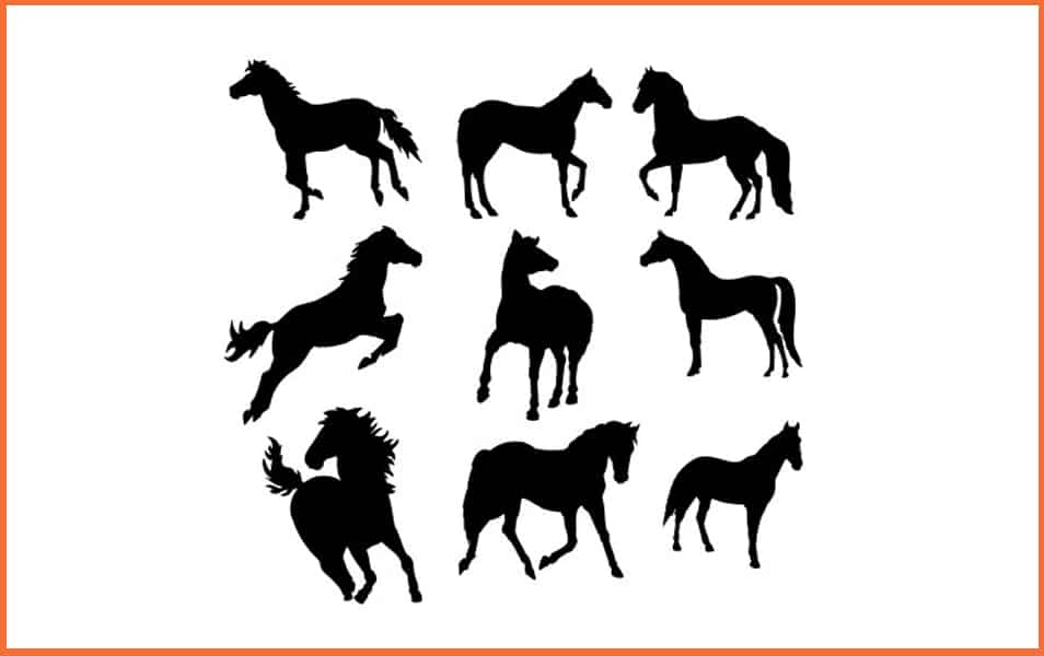 The Huge Collection Of Photoshop Custom Shapes 31 Horse Photoshop Shapes